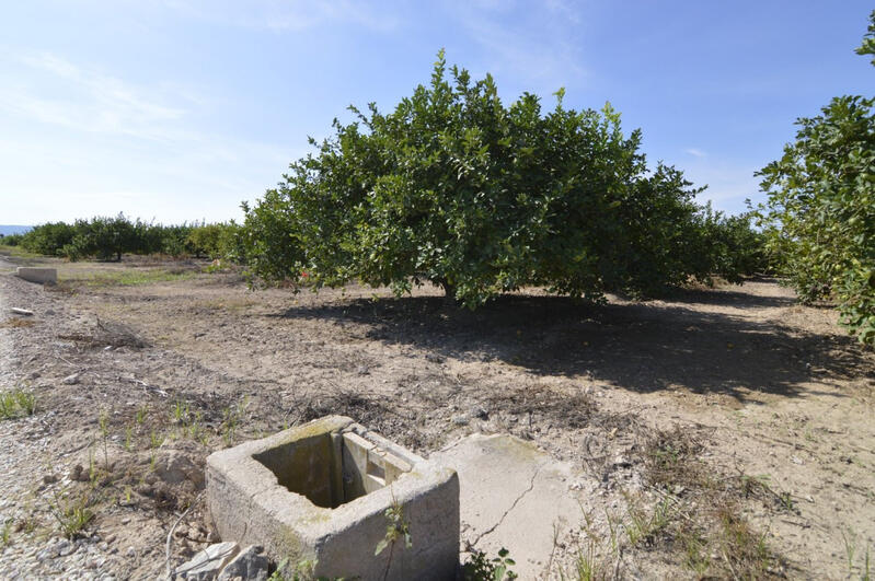 Terrenos en venta