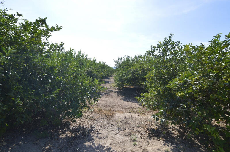 Terrenos en venta
