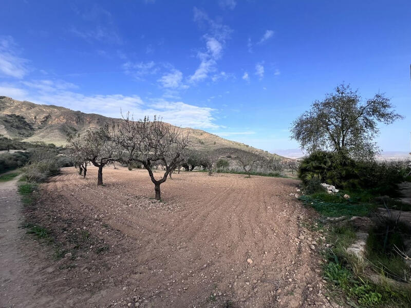 3 bedroom Country House for sale