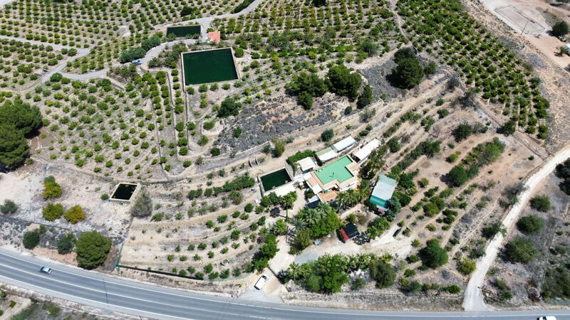 5 Cuarto Villa en venta