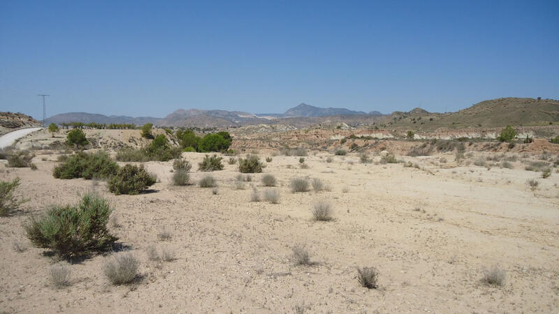 Terrain à vendre dans Abanilla, Murcia