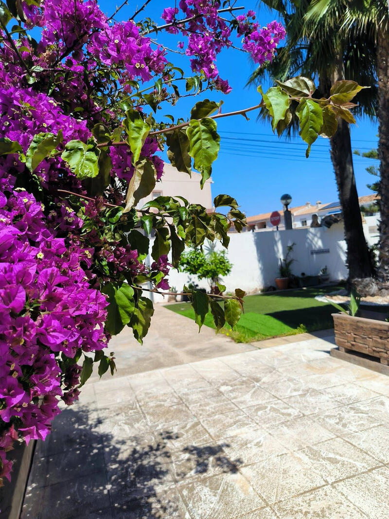7 bedroom Townhouse for sale