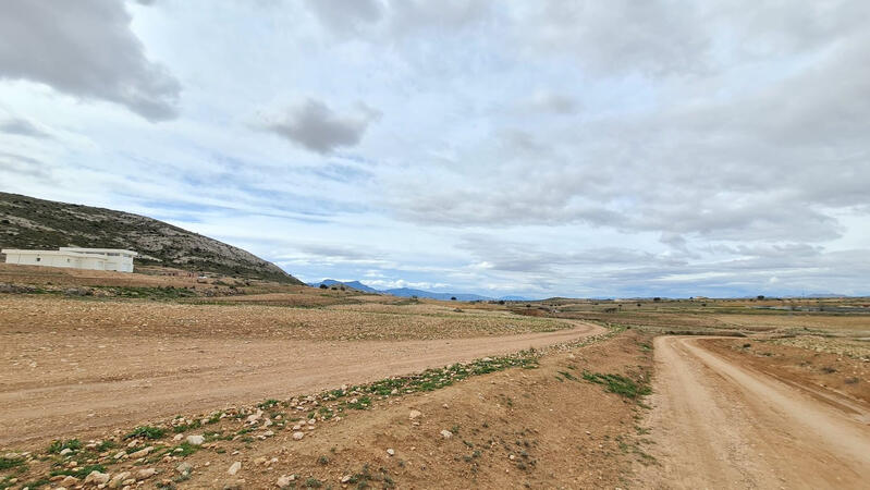 Terrenos en venta