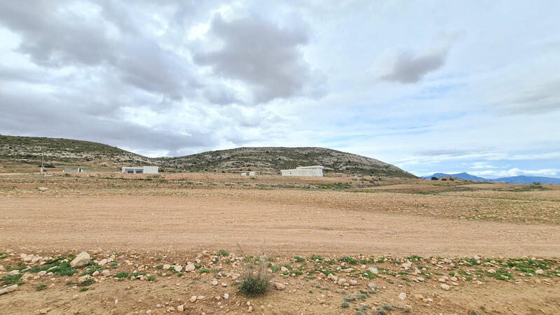 Terrenos en venta