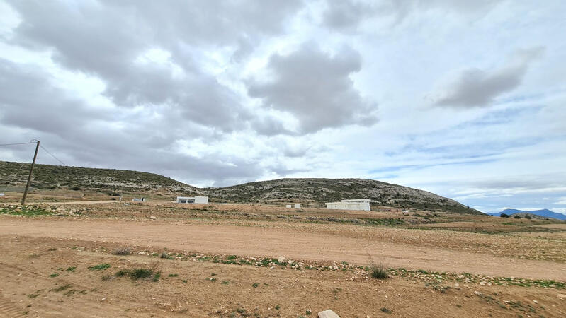 Terrenos en venta