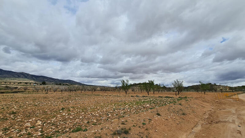 Terrenos en venta