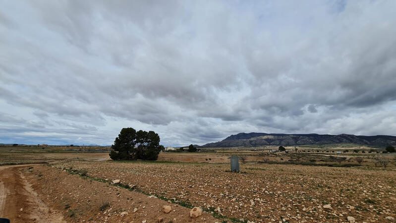 Terrenos en venta