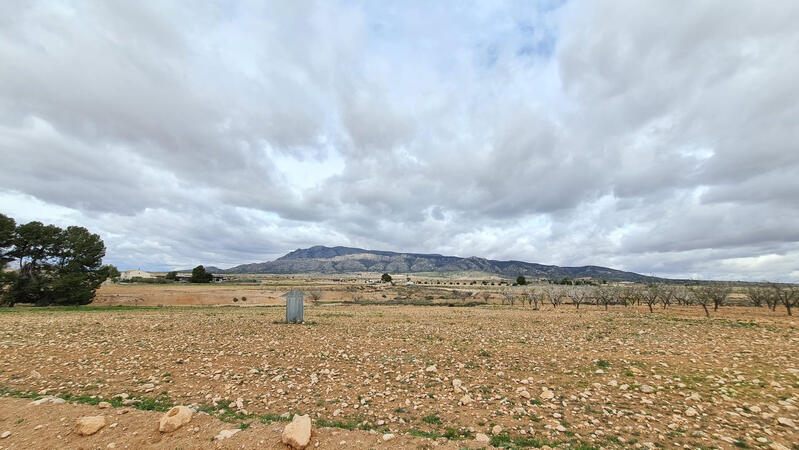 Terrenos en venta