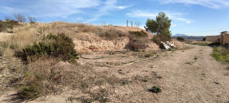 5 soveværelse Landsted til salg