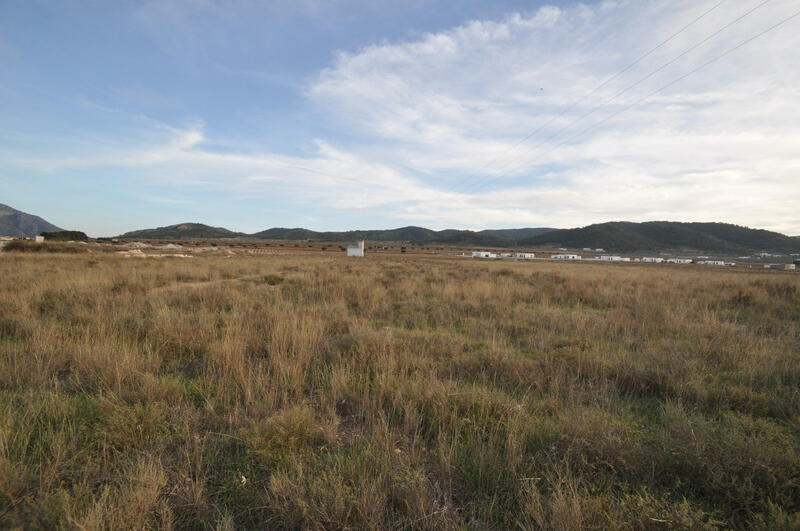 Land for sale in Los Perez (Ayuntamiento Almoradi/Torrevieja), Alicante