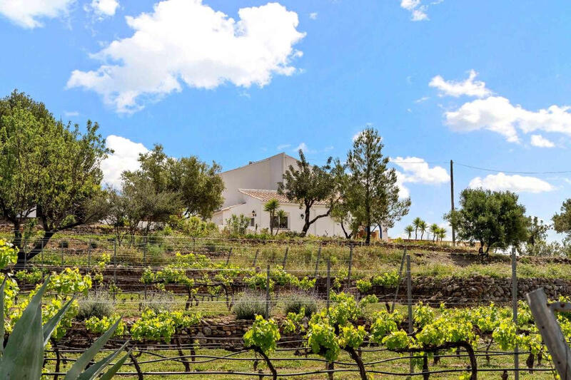 4 Cuarto Villa en venta