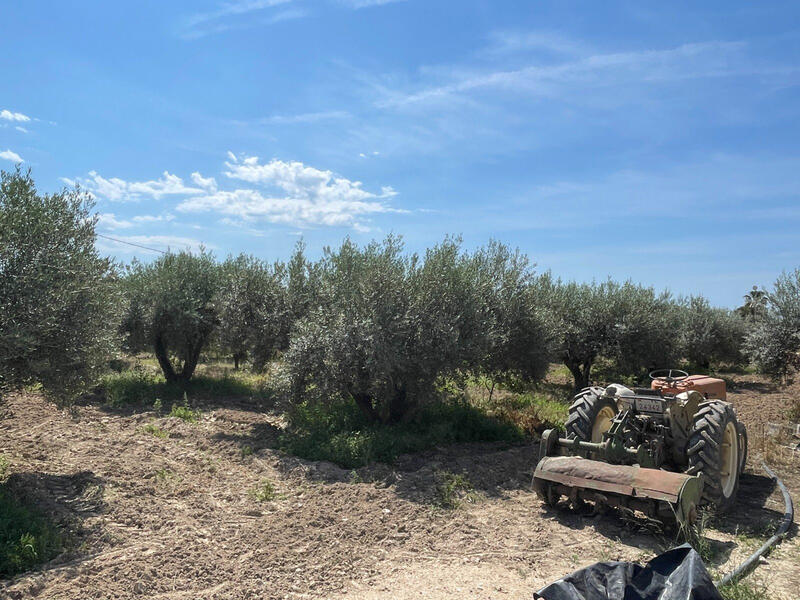 4 bedroom Villa for sale