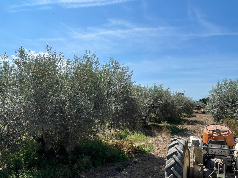 4 bedroom Villa for sale