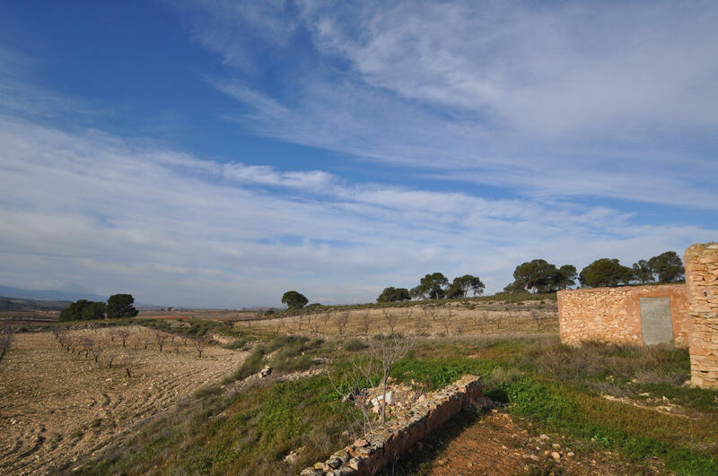 6 bedroom Country House for sale