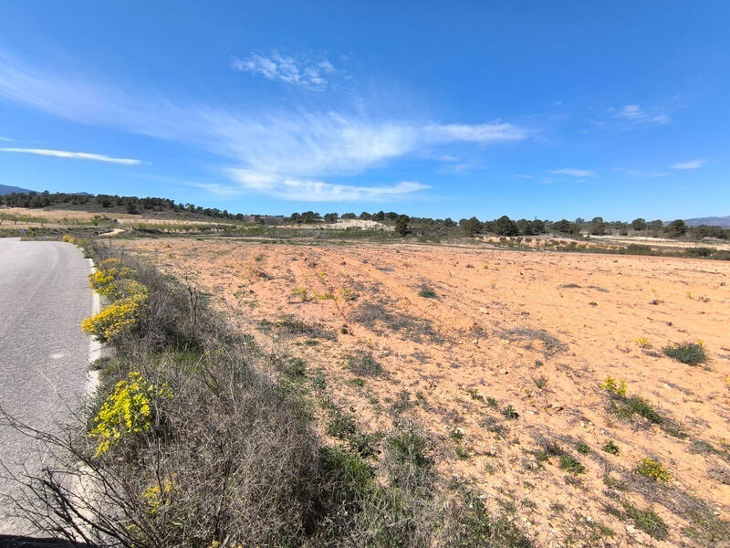 Terrenos en venta