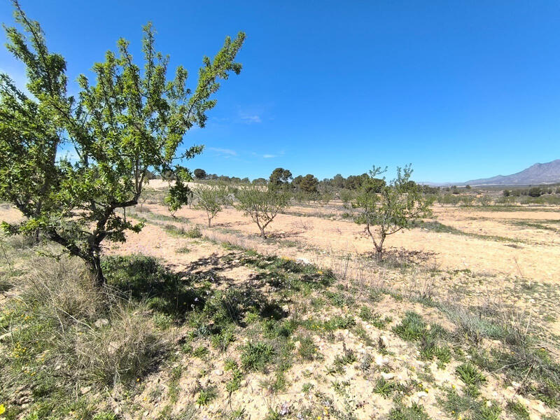 Terrenos en venta