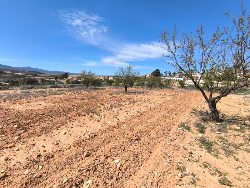 Terrenos en venta