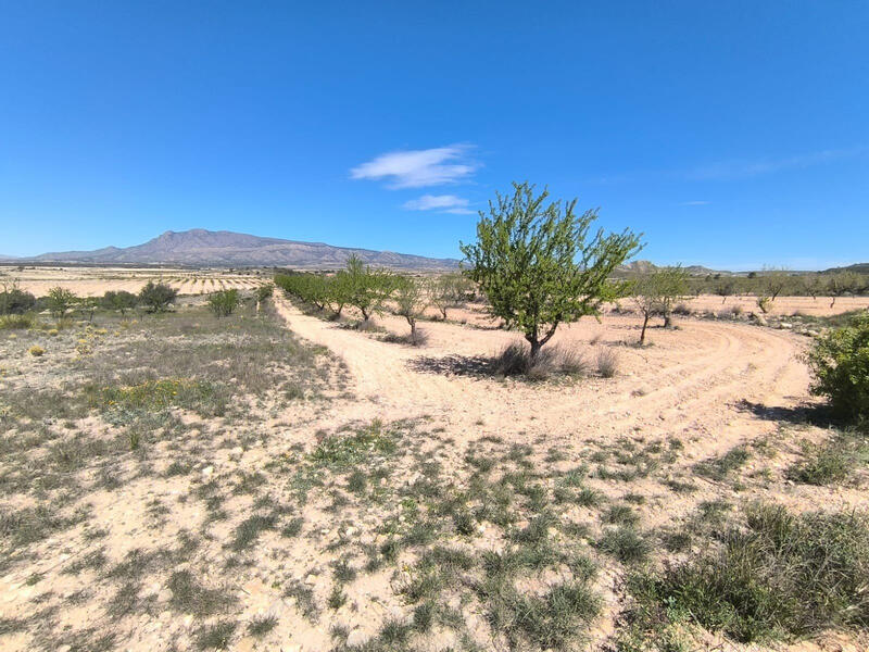 Terrenos en venta