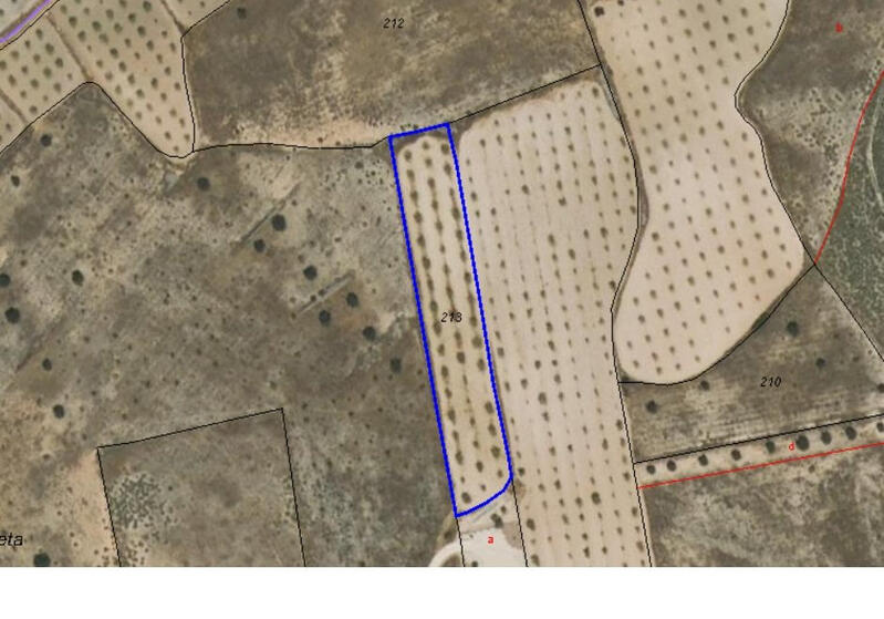 Terrenos en venta