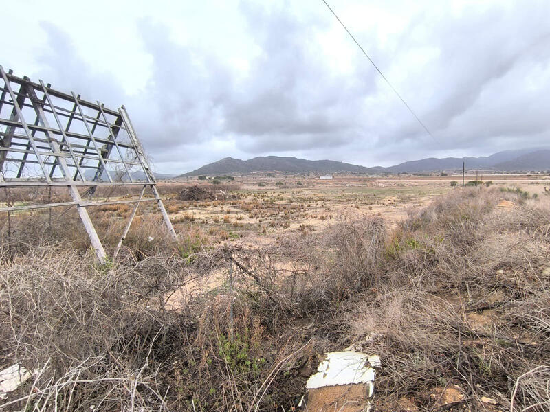 Land for sale in La Romana, Alicante