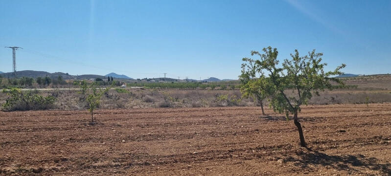 Land for sale