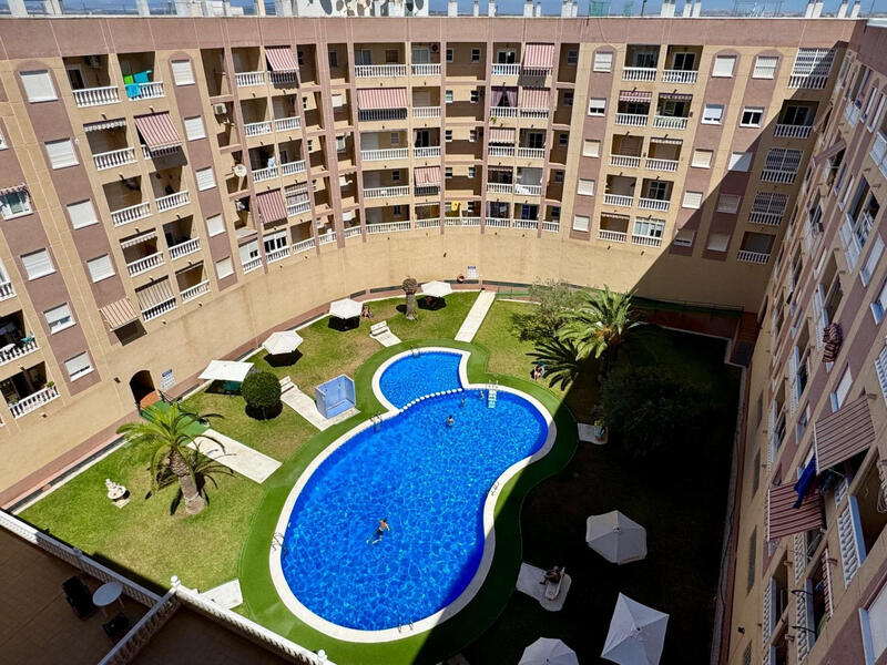 Leilighet til salgs i Torrevieja, Alicante