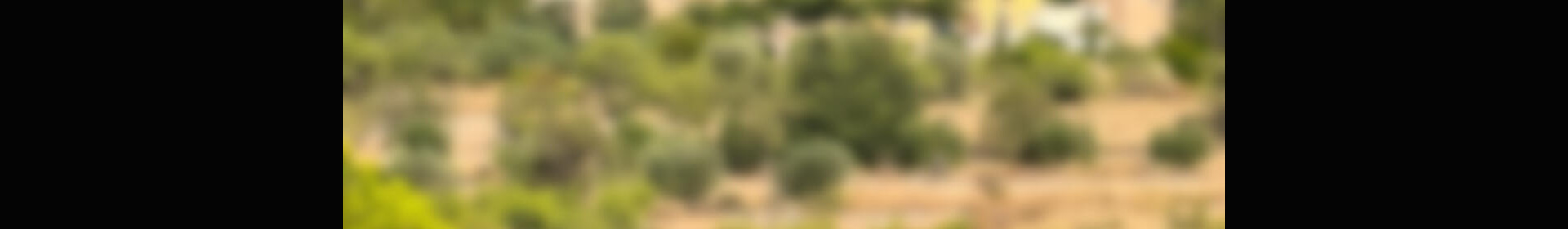 Autre à vendre