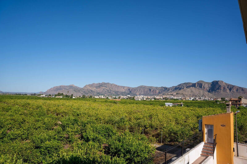 5 sovrum Villa till salu