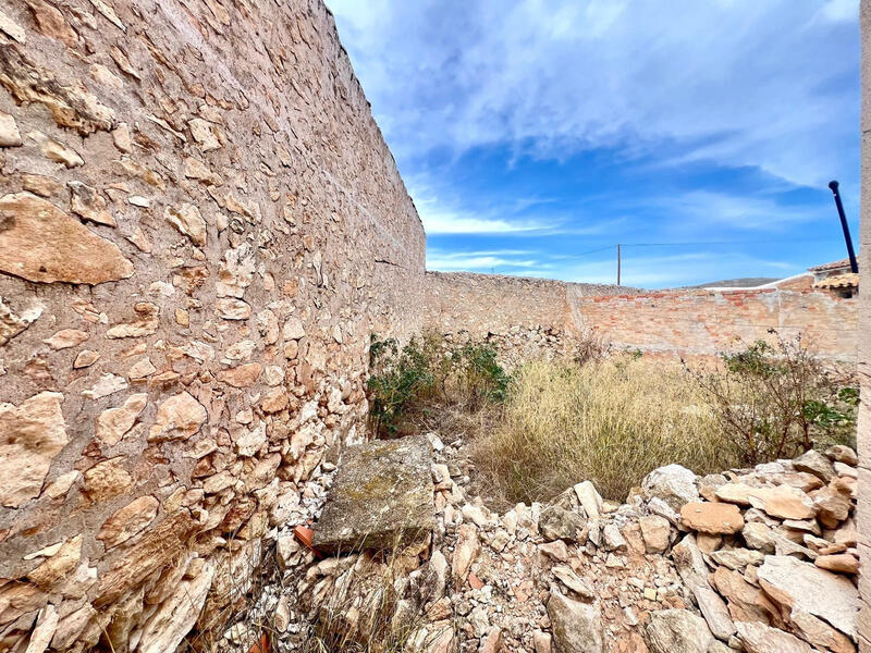 3 Cuarto Casa de Campo en venta