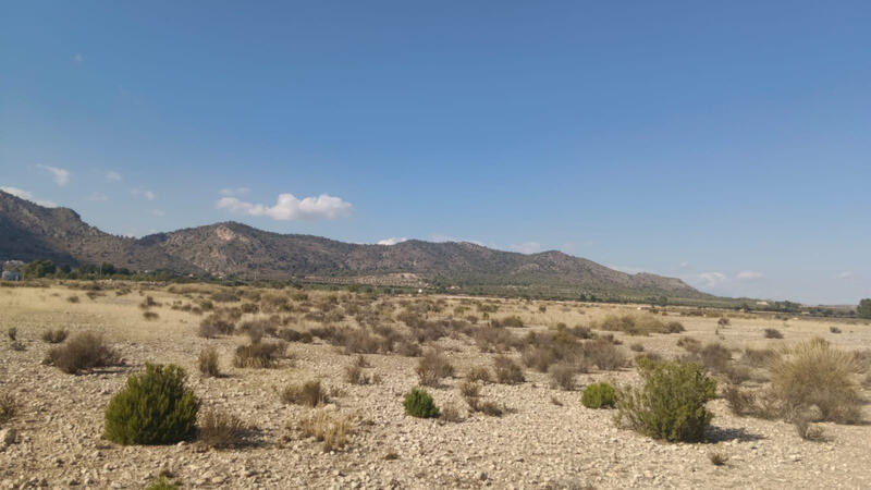 Terrenos en venta Terrenos en venta