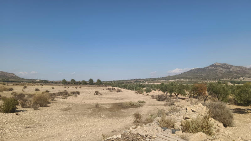 Terrenos en venta Terrenos en venta