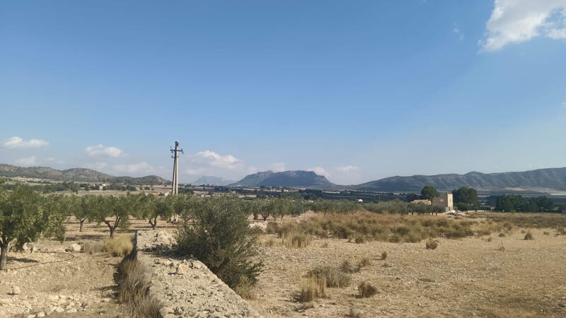 Terrenos en venta Terrenos en venta