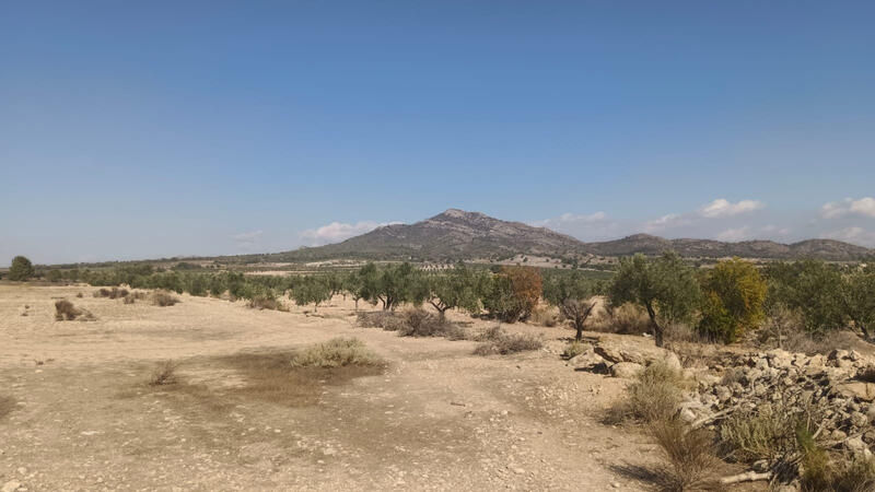 Terrenos en venta Terrenos en venta