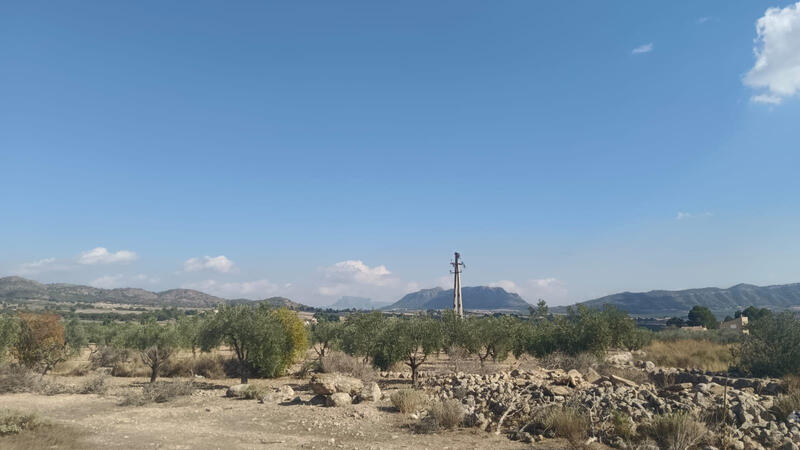 Terrenos en venta Terrenos en venta