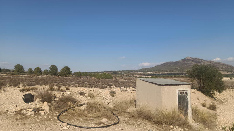 Terrenos en venta Terrenos en venta