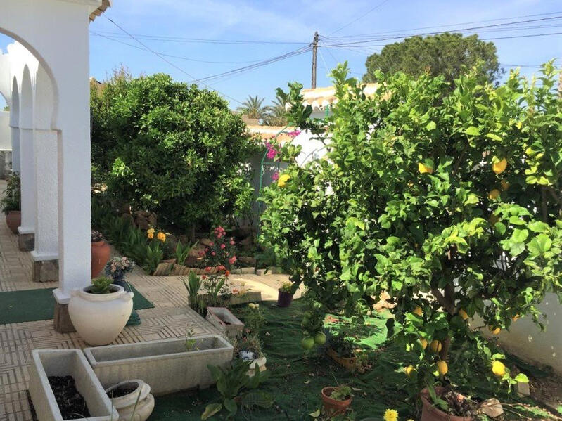 6 Cuarto Adosado en venta