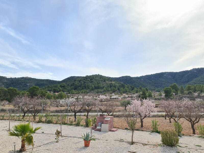 2 bedroom Villa for sale