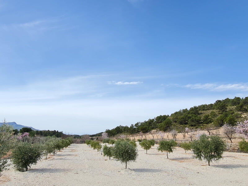 2 bedroom Villa for sale