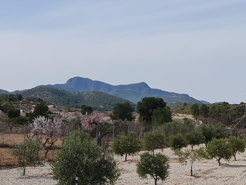 2 bedroom Villa for sale