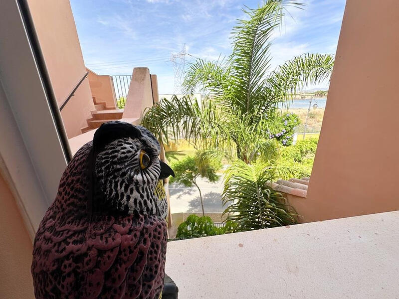 3 bedroom Apartment for sale 3 bedroom Apartment for sale