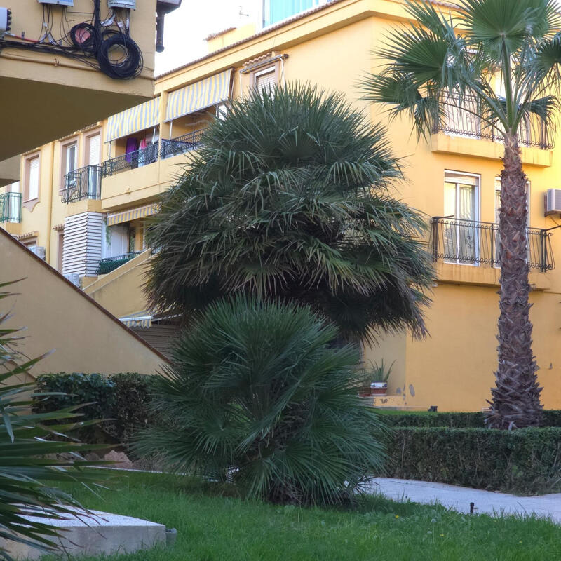 2 sovrum Lägenhet till salu