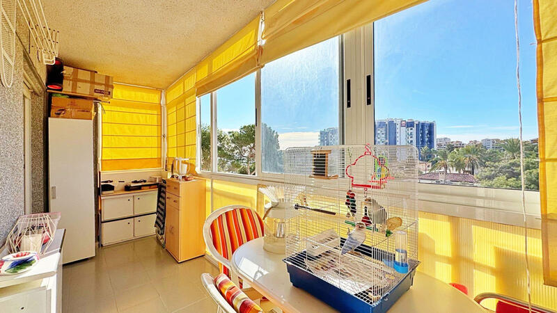 1 slaapkamer Appartement Te koop 1 slaapkamer Appartement Te koop