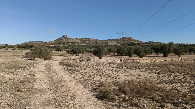 Land for sale Land for sale