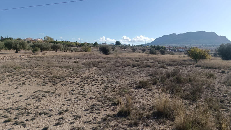 Land for sale Land for sale