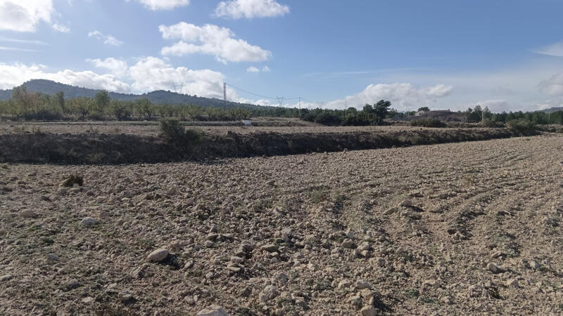 Land for sale Land for sale