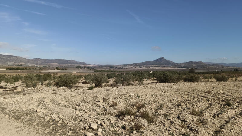 Land for sale Land for sale