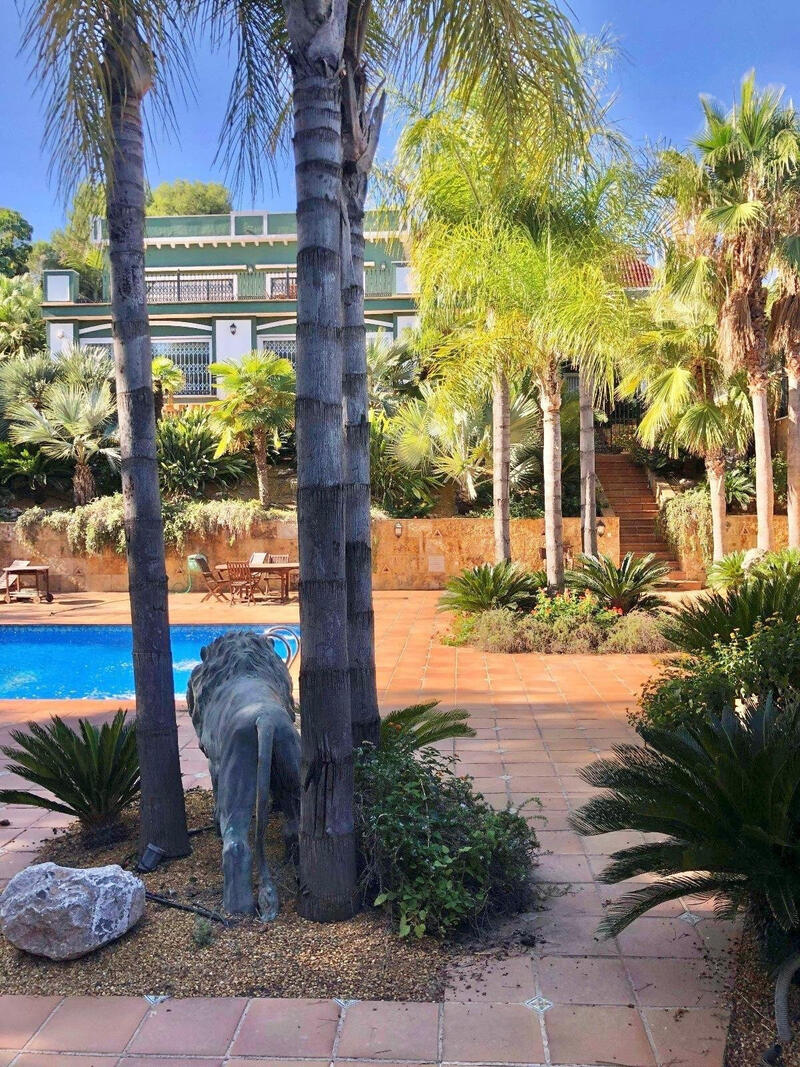 6 chambre Villa à vendre 6 chambre Villa à vendre