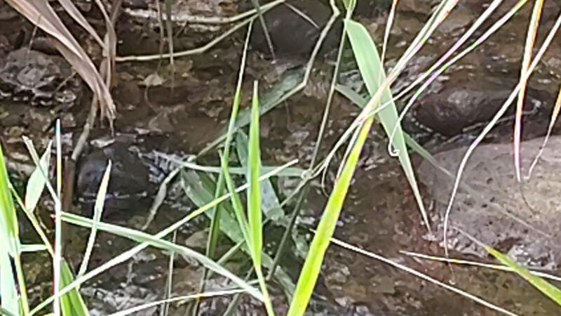 Land for sale Land for sale