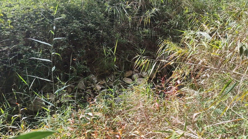 Land for sale Land for sale