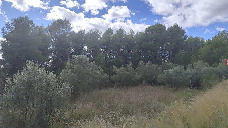 Land for sale Land for sale